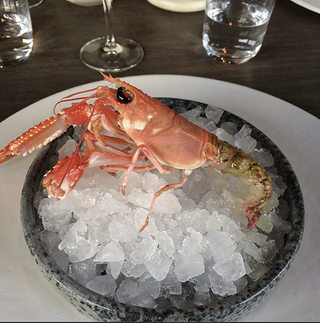 Illustration for article titled This is what a full meal looks like in the world's best restaurant